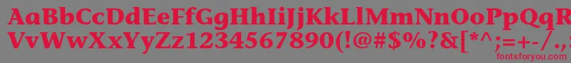 StoneinformalstdBold Font – Red Fonts on Gray Background