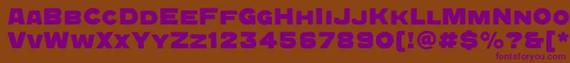 QuadratgroteskcBold Font – Purple Fonts on Brown Background