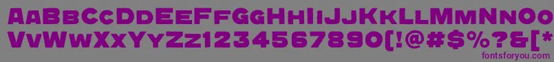 QuadratgroteskcBold-fontti – violetit fontit harmaalla taustalla