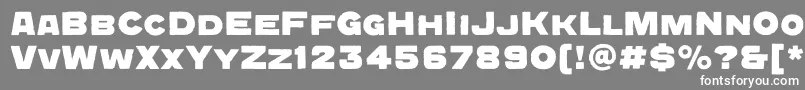 QuadratgroteskcBold-fontti – valkoiset fontit harmaalla taustalla