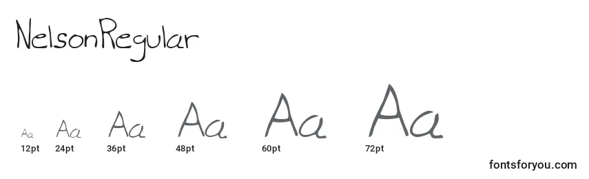 NelsonRegular Font Sizes