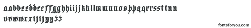 Шрифт Transylvania1 – нидерландские шрифты
