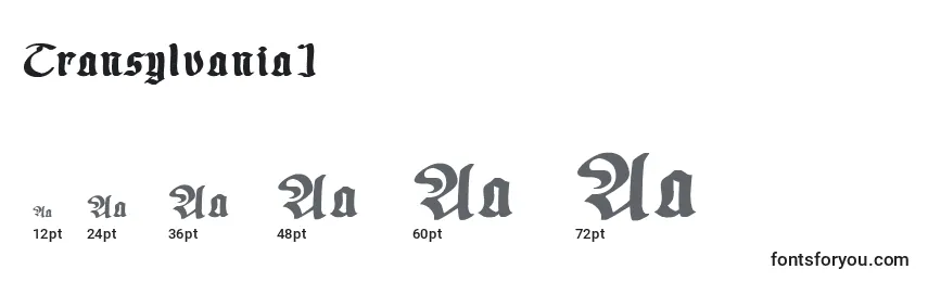 Размеры шрифта Transylvania1