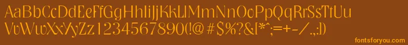 NashvilleserialXlightRegular Font – Orange Fonts on Brown Background