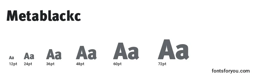 Metablackc Font Sizes
