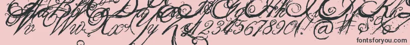 TheKingQueenFont Font – Black Fonts on Pink Background