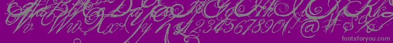 Police TheKingQueenFont – polices grises sur fond violet