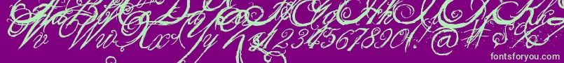 Weitere Informationen zur TheKingQueenFont-Schriftart TheKingQueenFont-Schriftart – Grüne Schriften auf violettem Hintergrund