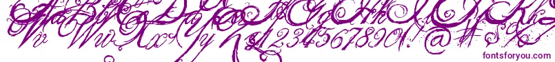 Weitere Informationen zur TheKingQueenFont-Schriftart TheKingQueenFont-Schriftart – Violette Schriften auf weißem Hintergrund