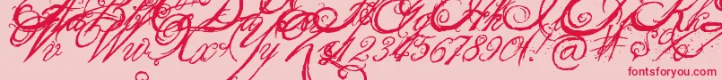 TheKingQueenFont Font – Red Fonts on Pink Background