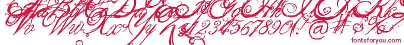 TheKingQueenFont Font – Red Fonts on White Background