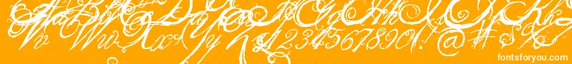 Weitere Informationen zur TheKingQueenFont-Schriftart TheKingQueenFont-Schriftart – Weiße Schriften auf orangefarbenem Hintergrund