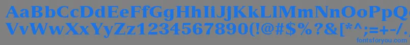 VersaillesLt95Black Font – Blue Fonts on Gray Background