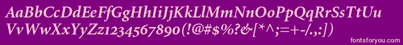 MinionBoldItalicOldstyleFigures Font – Pink Fonts on Purple Background