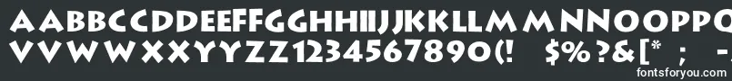 フォントStrongType – 白い文字