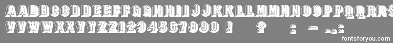 BangstonfatsplainNormal Font – White Fonts on Gray Background