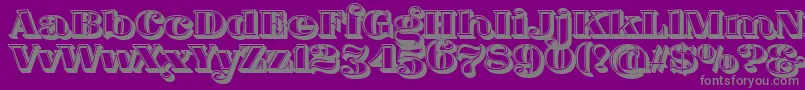 FatFlamingo5Lightbox Font – Gray Fonts on Purple Background