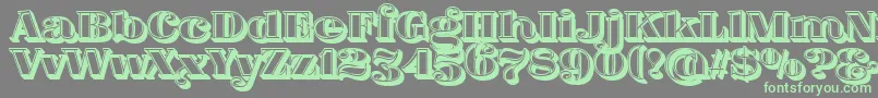 FatFlamingo5Lightbox Font – Green Fonts on Gray Background