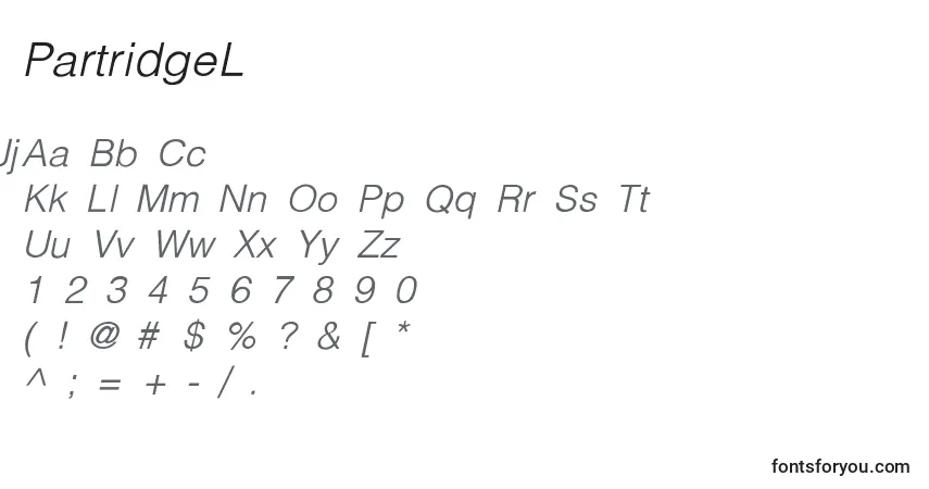 Шрифт PartridgeLightLightItalic – алфавит, цифры, специальные символы