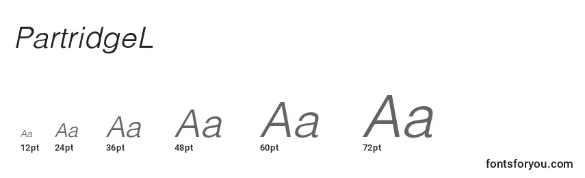 PartridgeLightLightItalic Font Sizes