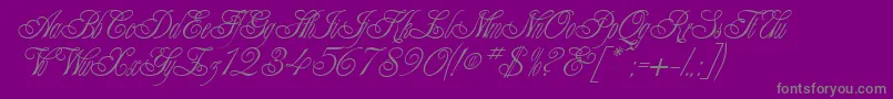 AlexeiCopperplateitcNormal-Schriftart – Graue Schriften auf violettem Hintergrund