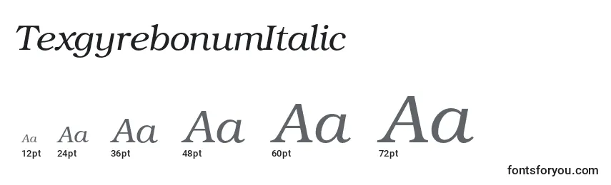 Размеры шрифта TexgyrebonumItalic