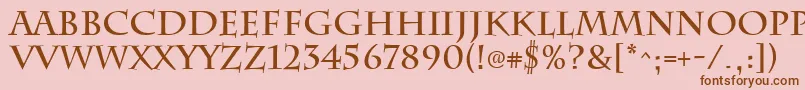 ChattsworthBold Font – Brown Fonts on Pink Background