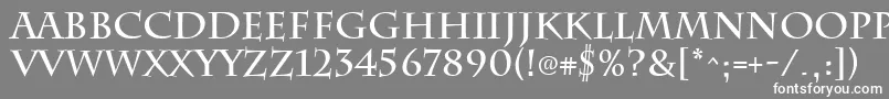 フォントChattsworthBold – 灰色の背景に白い文字