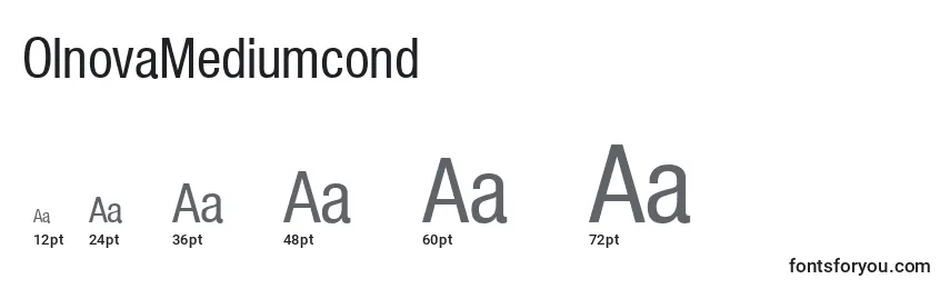 OlnovaMediumcond Font Sizes