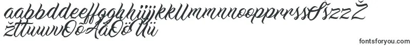 WorkInProgress Font – Estonian Fonts