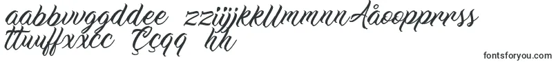 WorkInProgress Font – Uzbek Fonts