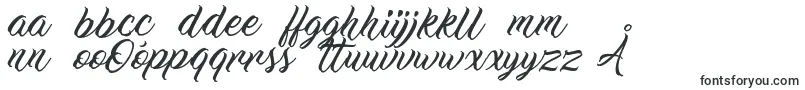 WorkInProgress Font – Polish Fonts