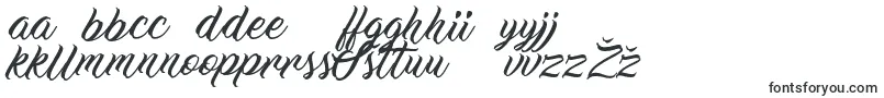 WorkInProgress Font – Lithuanian Fonts