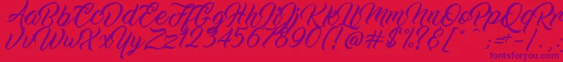 WorkInProgress Font – Purple Fonts on Red Background