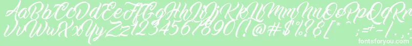 WorkInProgress Font – White Fonts on Green Background