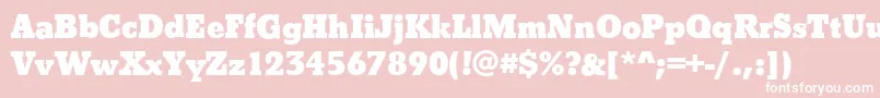 BostonXboldRegular Font – White Fonts on Pink Background