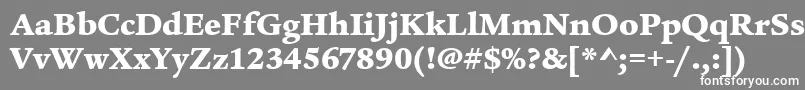 フォントLegacySerifMdItcTtUltra – 灰色の背景に白い文字