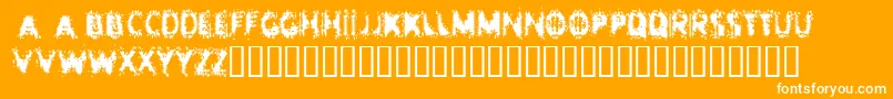 Entropy Font – White Fonts on Orange Background