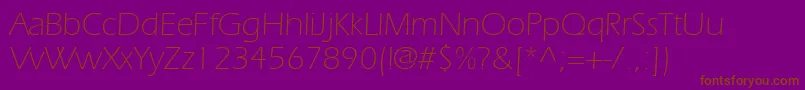 SpeedoLightSsiLight Font – Brown Fonts on Purple Background