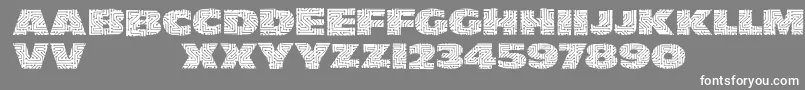 Leiterplattensansフォントについての詳細 フォントLeiterplattensans – 灰色の背景に白い文字