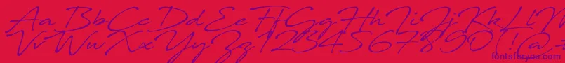 Javacom Font – Purple Fonts on Red Background