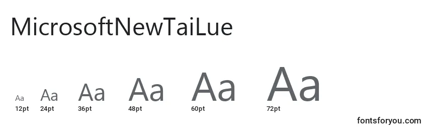 MicrosoftNewTaiLue Font Sizes