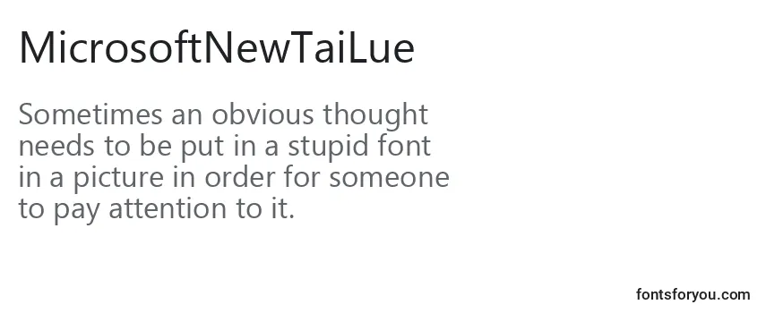MicrosoftNewTaiLue Font