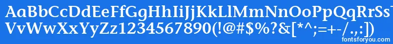 フォントItcStoneInformalLtSemibold – 青い背景に白い文字