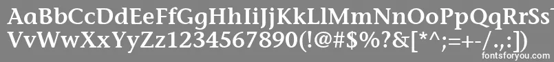 フォントItcStoneInformalLtSemibold – 灰色の背景に白い文字