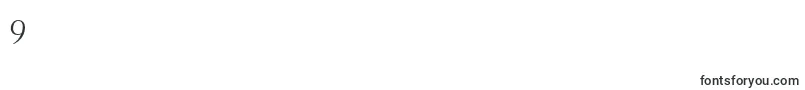 フォントElectraLhCursiveOldstyleFigures – フォント数字9