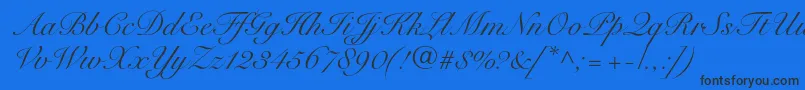 SnellroundhandltstdScr Font – Black Fonts on Blue Background