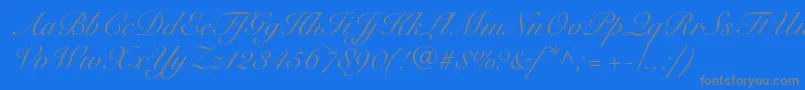 SnellroundhandltstdScr Font – Gray Fonts on Blue Background