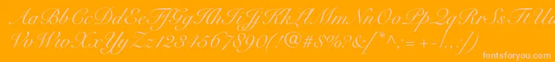 SnellroundhandltstdScr Font – Pink Fonts on Orange Background