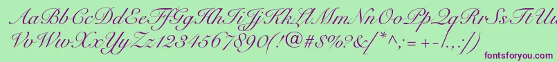 SnellroundhandltstdScr Font – Purple Fonts on Green Background